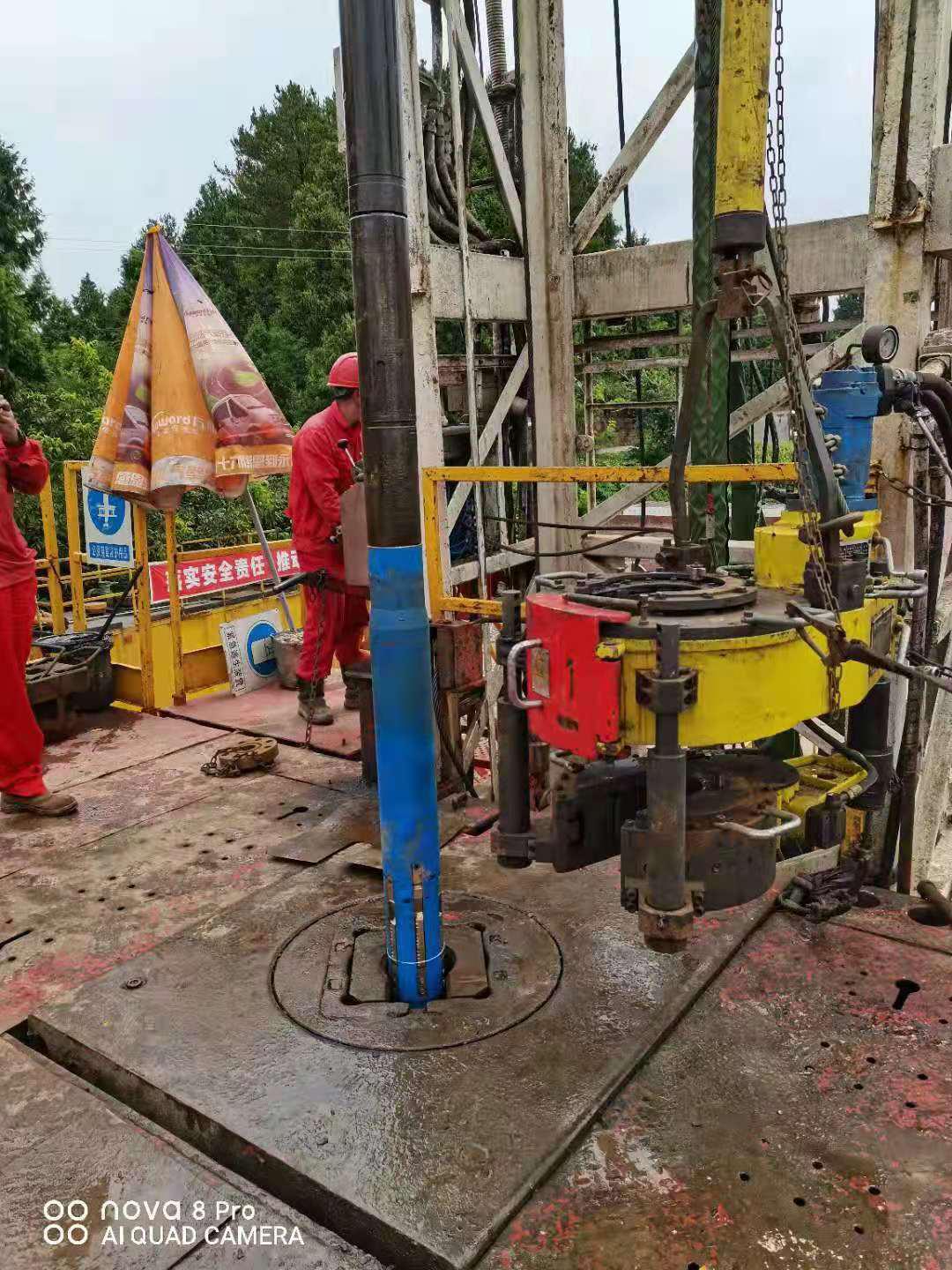 金百博·(中国区)有限公司官网