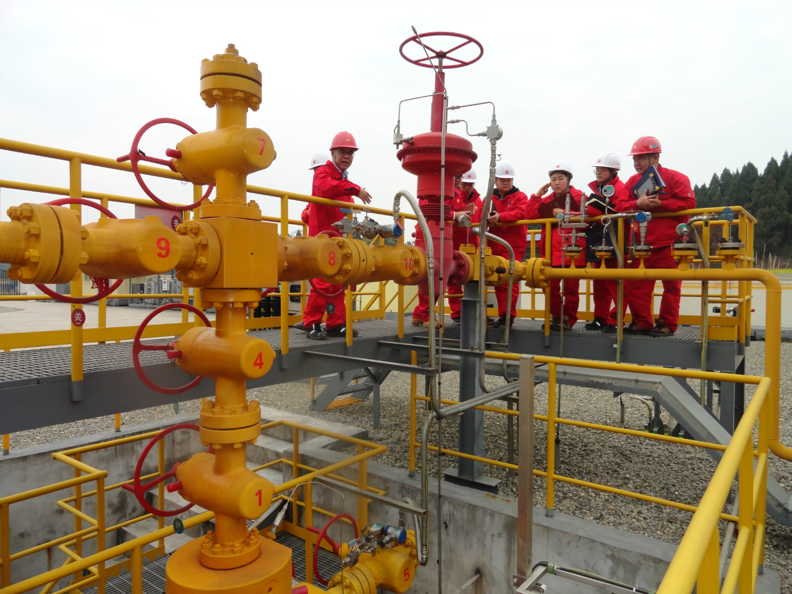 金百博·(中国区)有限公司官网